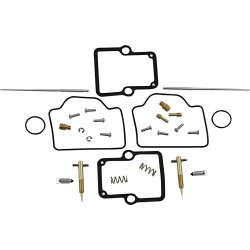 Carburetor Repair Kit