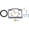 Carburetor Repair Kit