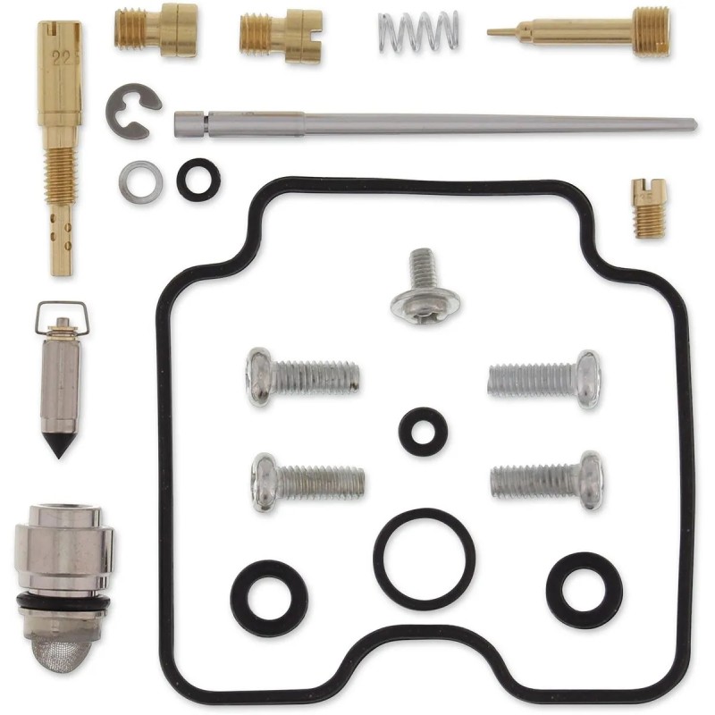 Carburetor Repair Kit