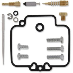 Carburetor Repair Kit
