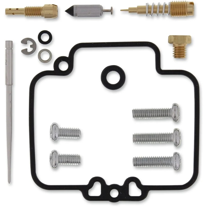 Carburetor Repair Kit