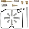 Carburetor Repair Kit - Arctic Cat