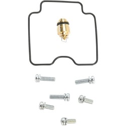 Carburetor Repair Kit