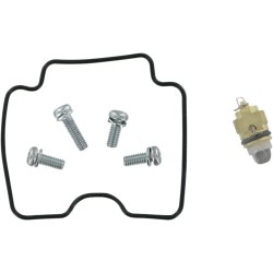 Carburetor Repair Kit