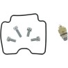 Carburetor Repair Kit