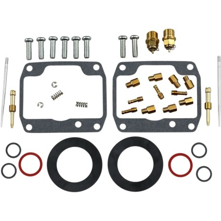 Carburetor Repair Kit