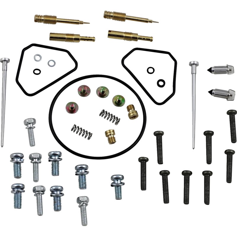 Carburetor Repair Kit