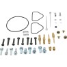 Carburetor Repair Kit