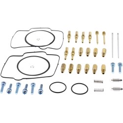 Carburetor Repair Kit