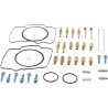 Carburetor Repair Kit