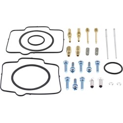 Carburetor Repair Kit