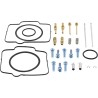 Carburetor Repair Kit