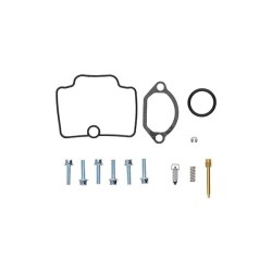 Carburator Rebuild Kit