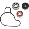 Water Pump Repair Kit