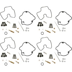 Carburetor Repair Kit