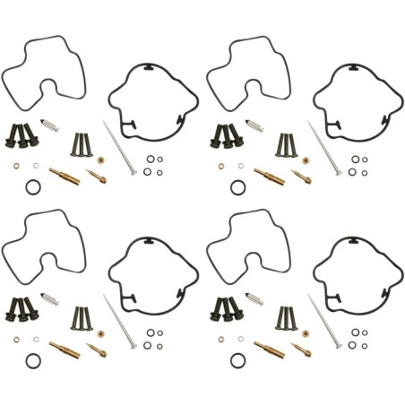 Carburetor Repair Kit