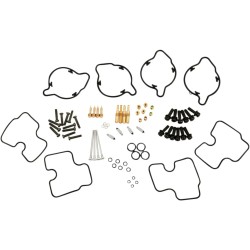 Carburetor Repair Kit