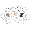 Carburetor Repair Kit