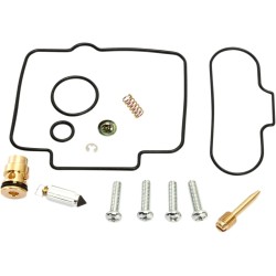 Carburetor Repair Kit