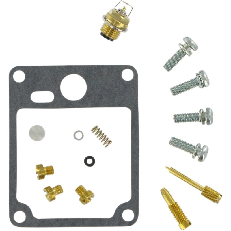 Carburetor Repair Kit