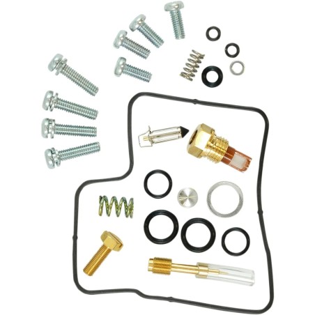 Carburetor Repair Kit