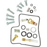 Carburetor Repair Kit