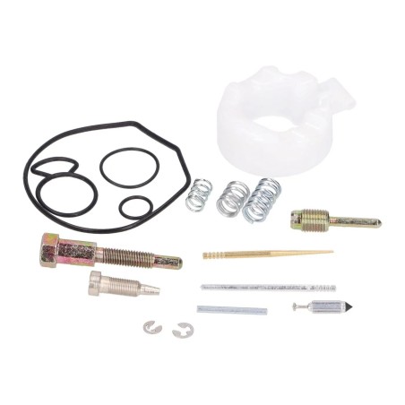 Carburetor Repair Kit