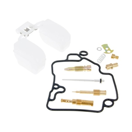 Carburetor Repair Kit