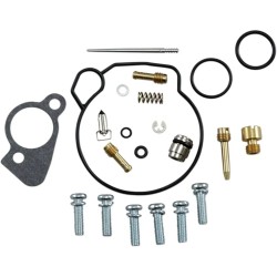 Carburetor Repair Kit