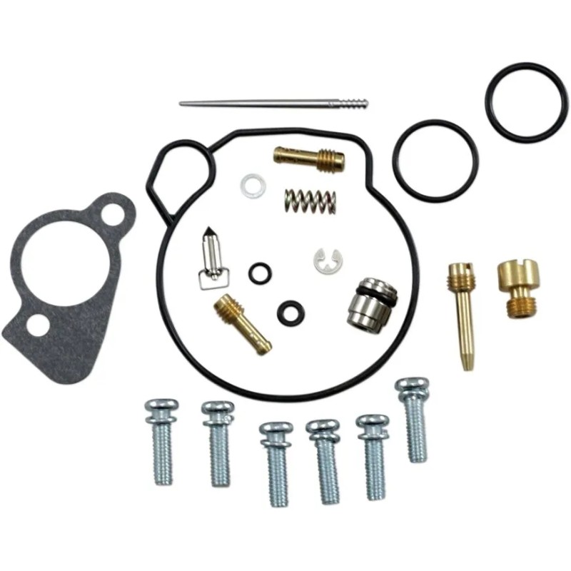 Carburetor Repair Kit