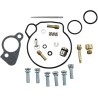 Carburetor Repair Kit