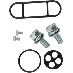 Fuel Petcock Rebuild Kit