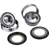Steering Stem Bearing Kit