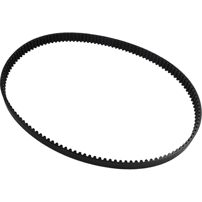 Rear Drive Belt