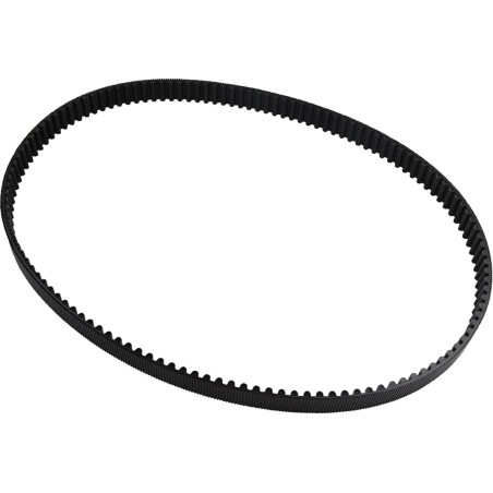 Rear Drive Belt