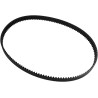 Rear Drive Belt