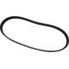 Rear Drive Belt