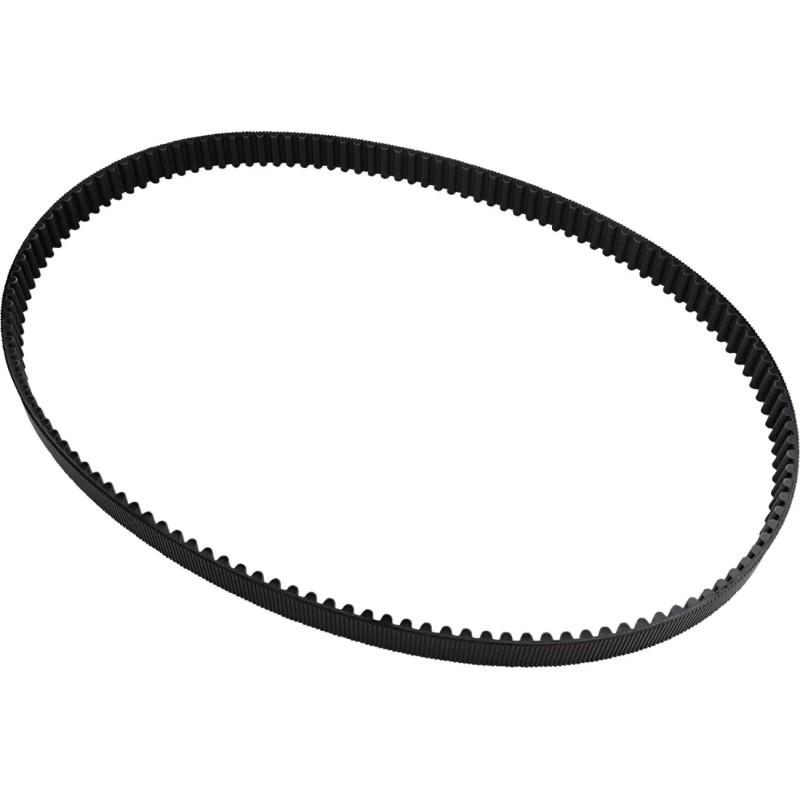 Rear Drive Belt