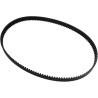 Rear Drive Belt