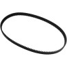 Rear Drive Belt