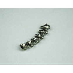 Titanium Screws