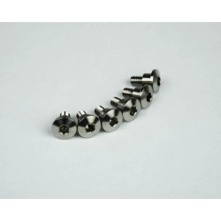 Titanium Screws