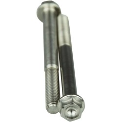 Titanium Screws