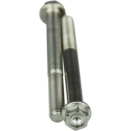 Titanium Screws