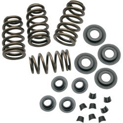 0.650  Sidewinder  Valve Spring Kit