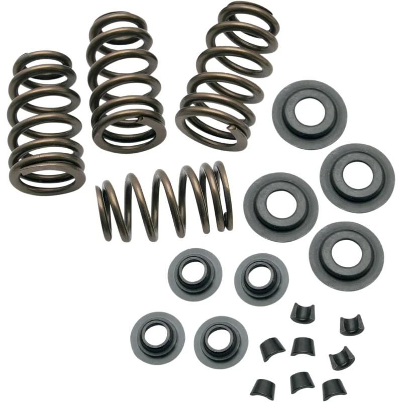 0.650  Sidewinder  Valve Spring Kit