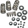 0.650  Sidewinder  Valve Spring Kit