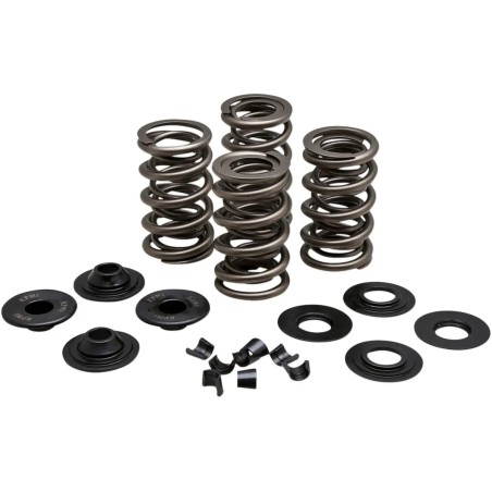 Racing Valve Spring Kit