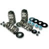 Econo Beehive  Valve Spring Kit