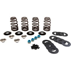 Econo Beehive  Valve Spring Kit